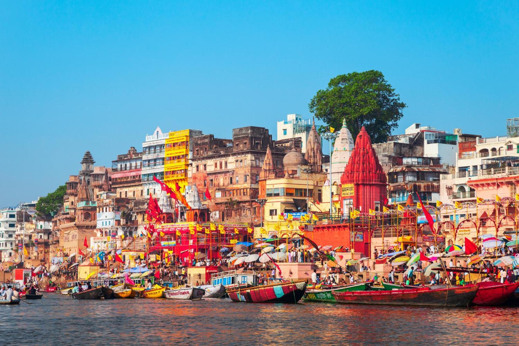 Golden Lotus Varanasi